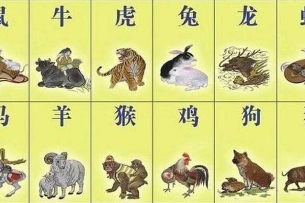 鸡肠狗肚是什么意思(鸡肠狗肚指着什么生肖)