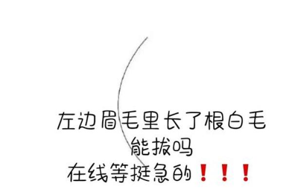 长眉毛断了代表什么 长眉毛断了代表什么生肖