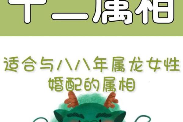 88年属龙和90年属马的婚配怎样 88年龙和90年马的生肖婚姻配吗