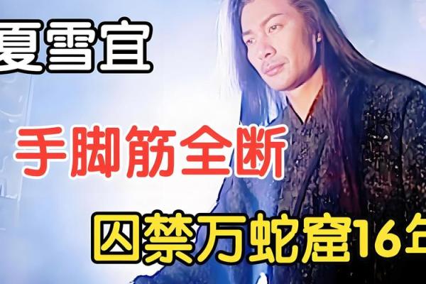 ‌金蝉脱壳打一生肖 → 蛇‌（蛇蜕金甲，遁影无踪）