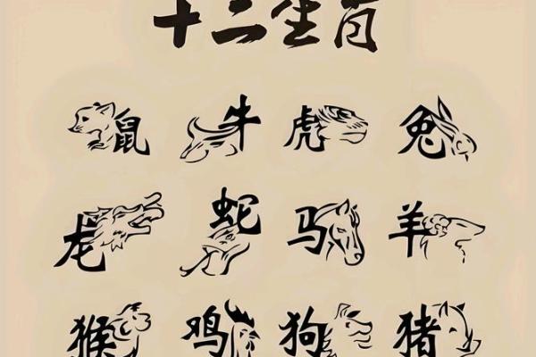 做贼心虚指什么生肖
