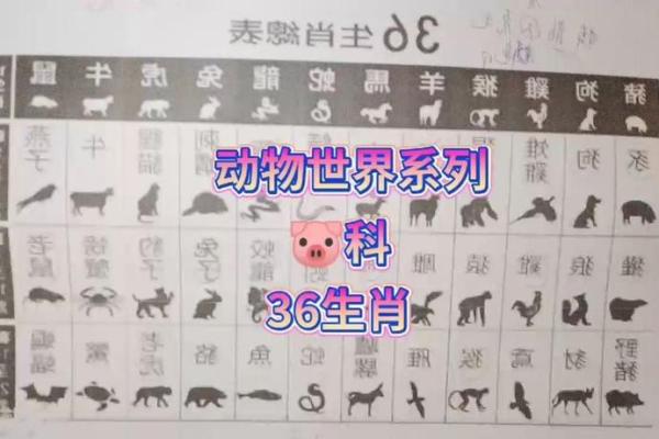肉山脯林开过什么生肖