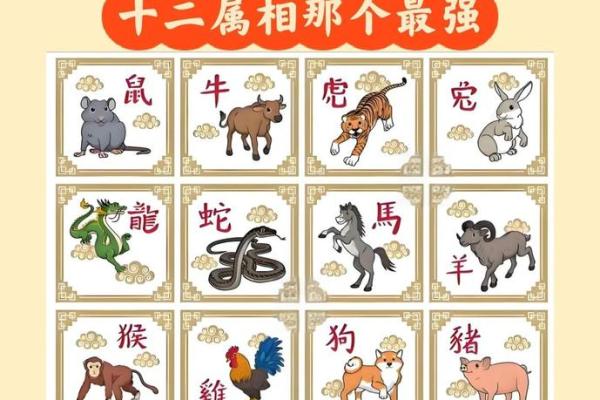 忍辱负重的精神代表在十二生肖中对应哪个动物