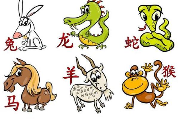 独守空房三年久指什么生肖(独守空房三年久指什么生肖动物)