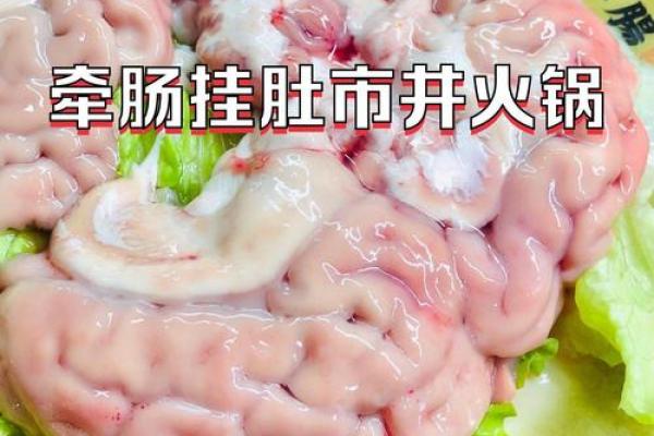 牵肠挂肚打一动物生肖→ ‌猪‌（猪内脏肥大，古祭祀以猪内脏喻牵挂）