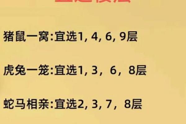 眼高手低的动物是什么生肖 眼高手低打一生肖最佳答案