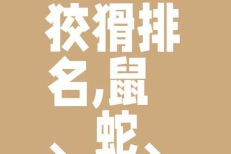 匕鬯不惊比喻什么生肖 匕鬯不惊打一准确生肖
