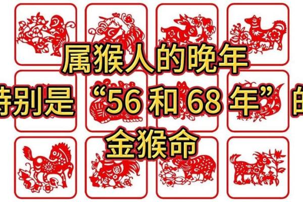 晚年命最好三大生肖女 晚年命好的人指的是什么