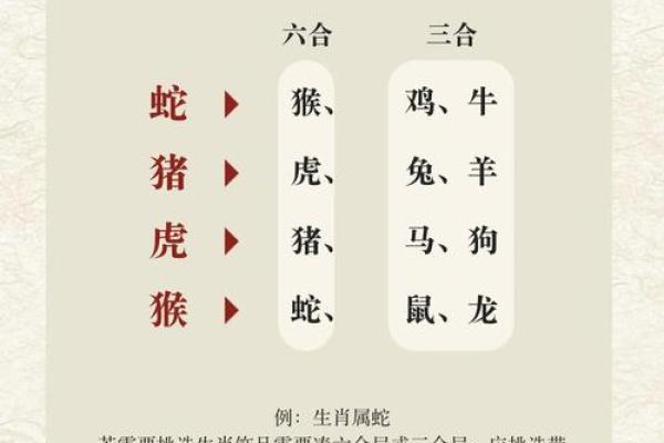 志同道合代表的生肖是什么，有没有具体的文化典故和出处？