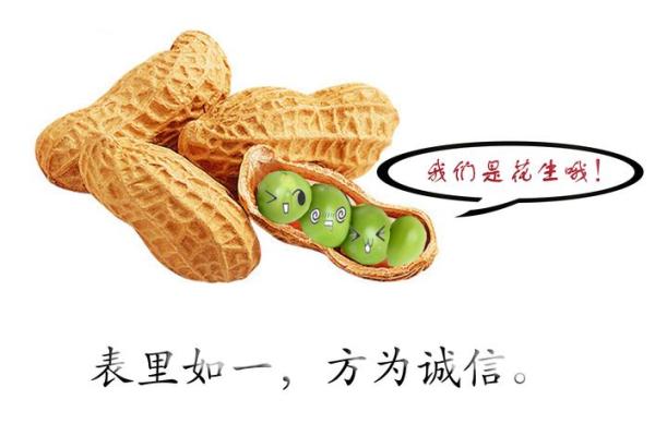 表里如一打一生肖(表里如一猜一个字谜)