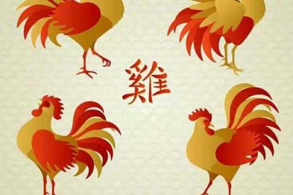 显而易见打一准确生肖(显而易见的意思什么意思)