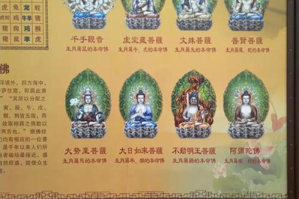 南山之寿指的是哪个生肖？传统文化中的寓意详解