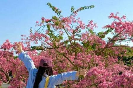 ‌深藏不露打一生肖 → 蝎‌（蝎隐石缝，毒针暗藏）