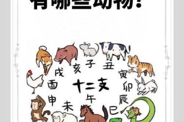 挖空心思所指的生肖动物究竟是哪一个求详细解析