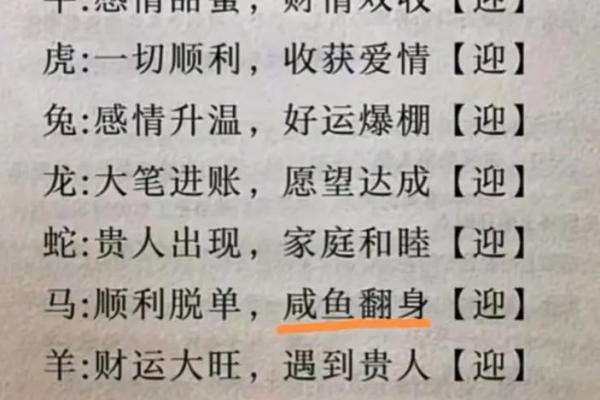 头撞南墙最佳生肖(头撞南墙什么生肖)