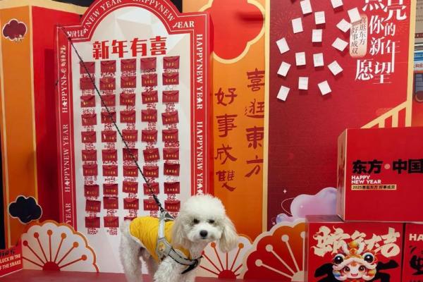 养精蓄锐的三大生肖 养精蓄锐下一句怎么说