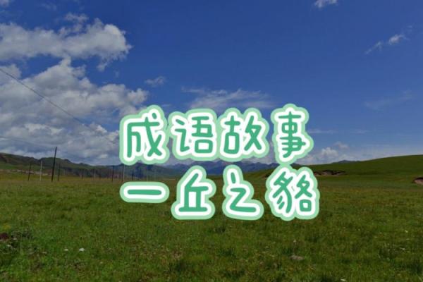 一丘之貉着个成语具体指的是哪一种动物,求科普其学名和习性 一丘之貉着个成语具体指的是哪一种动物,求科普其学名和习性