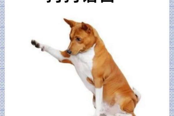 如何理解成语邑犬群吠”所比喻的动物及其深层含义