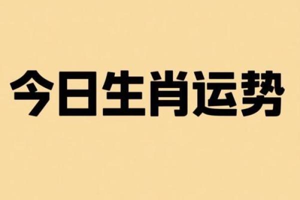 指东骂西代表什么生肖 指东骂西开过什么生肖