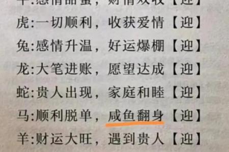 头撞南墙最佳生肖(头撞南墙什么生肖)