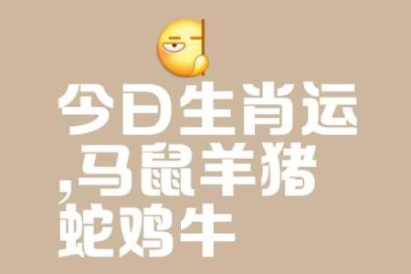 举重若轻代表什么生肖 举重若轻纯属打一生肖