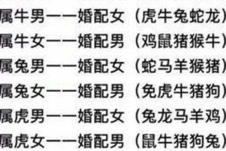22岁属什么生肖配对最佳 22岁属什么生肖配结婚