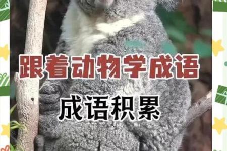 湖光水色打一生肖正确答案解析，着个成语代表什么动物含义？
