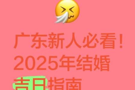 2025年9月上牌的吉日查询 新车挂牌最佳吉日挑选指南